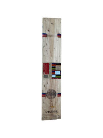 Seedling Craft & Activity O/S