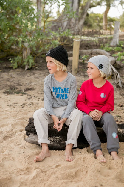 Electric Skate Beanie / Gray O/S
