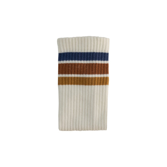 Blueberry Spice Socks